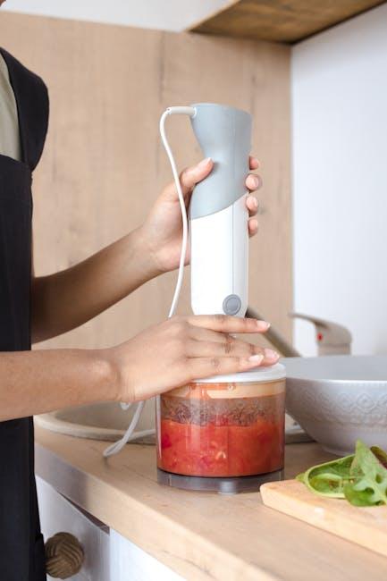 Best Hand Blender – Vitamix Professional Series Review