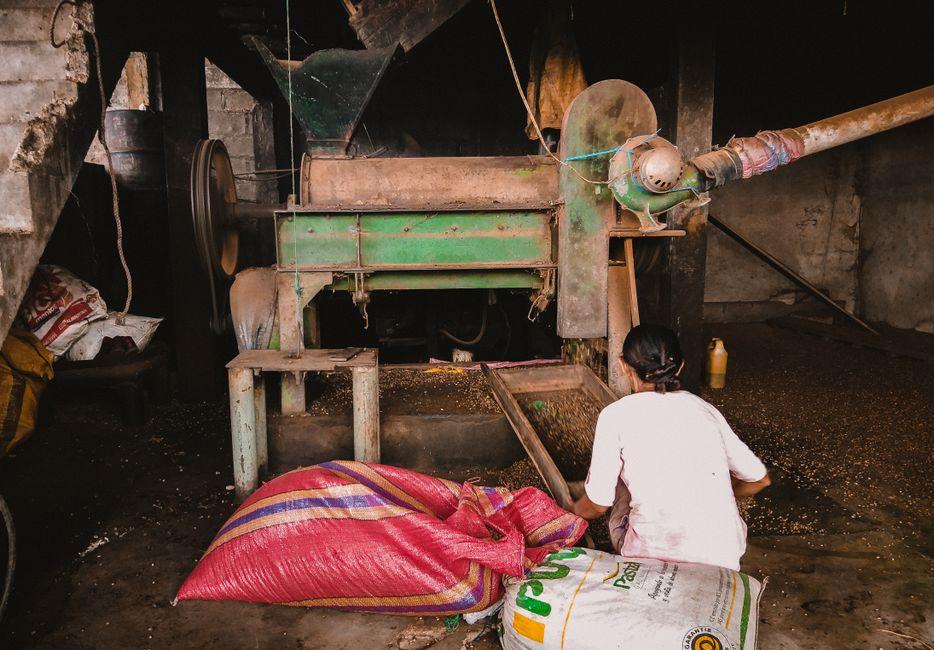 What Is the Best Grain Mill for Fresh, Healthy Baking?